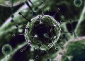 Microrganismi batterici come causa di prostatite